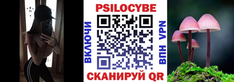 купить закладку  Кисловодск  Галлюциногенные грибы Magic Shrooms 