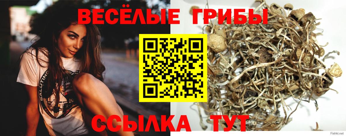 Кисловодск  цены наркотик  Вход с VPN  Галлюциногенные грибы Magic Shrooms 